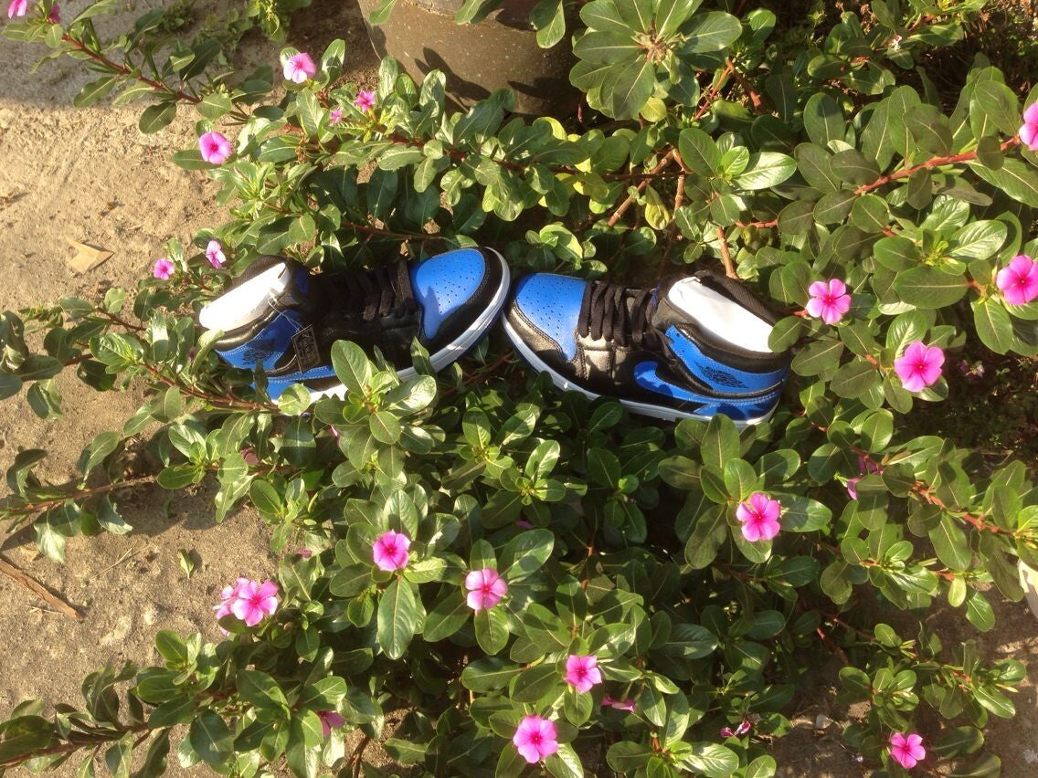 Jordan 1 High Blue and Black Basketball Sneakers